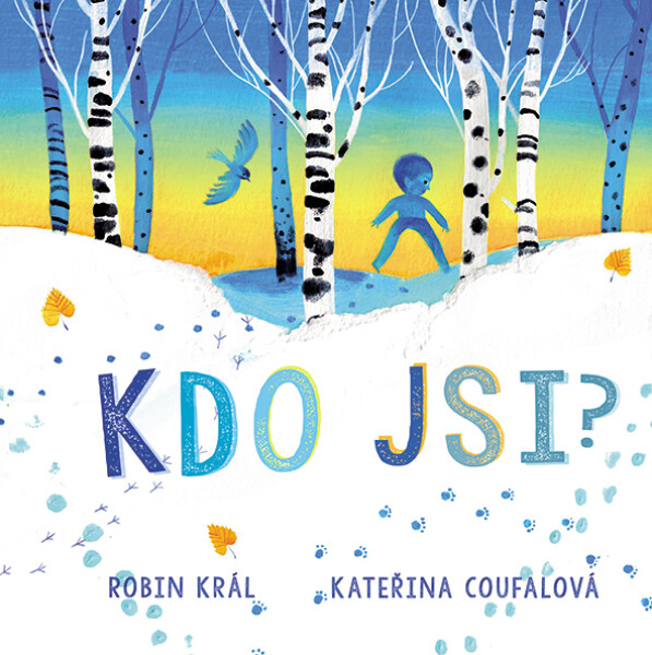 Kdo jsi? - Robin Král