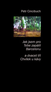 Jak jsem pro tebe zapálil