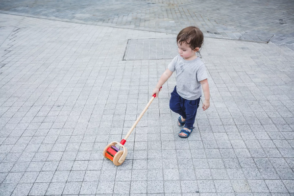 PlanToys PlanToys Tlač a roluj - klec