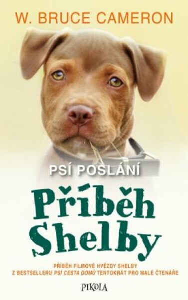 Příběh Shelby : příběh filmové hvězdy Shelby z bestselleru Psí cesta domů tentokrát pro malé čtenáře - W. Bruce Cameron - e-kniha