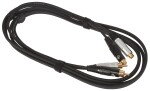 Bespeco EA2X300