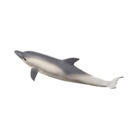 Animal Planet Delfín