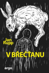 V břečťanu - Jan Rupp