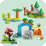 LEGO LEGO® DUPLO® 10446 Rodinky divokých zvířat 3 v 1