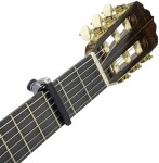 D'Addario PW-CP-19S