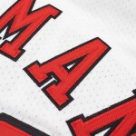 Mitchell & Ness Pánský dres Chicago Bulls NBA Dennis Rodman #91 1997-98 Authentic Velikost: S