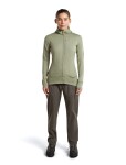 ICEBREAKER Wmns Merino 260 Quantum IV LS Zip Hood, Lichen (vzorek) velikost: S