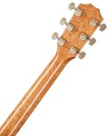 Taylor Legacy 810e