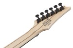 Ibanez RGR6BSP Iron Pewter
