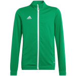 Entrada 22 Jr dětská mikina HI2138 Adidas