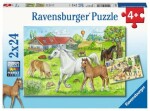 Ravensburger Ve stájích