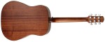 Ibanez AAD50-LG