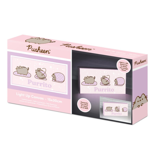 Pusheen svítící obraz - EPEE