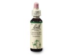 Zeměžluč lékařská (Centaury) 20 ml - Bachovy esence Dr.Bach