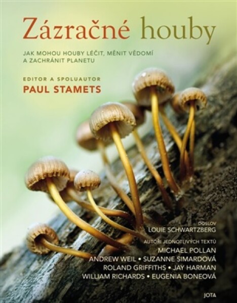 Zázračné houby