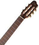 Godin Arena CW Clasica II