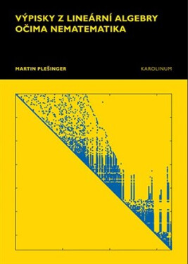 Výpisky z lineární algebry očima nematematika - Martin Plešinger