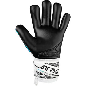 Rukavice Reusch Attrakt Infinity NC M 55 70 725 1125 10