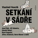 Setkání v sádře - Jiřina Jirásková, Vlastimil Venclík, Josef Bek, Jiří Adamíra, Marie Marešová, Zdeněk Řehoř - audiokniha