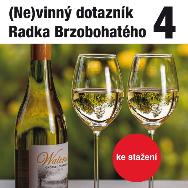 (Ne)vinný dotazník Radka Brzobohatého 4. - audiokniha