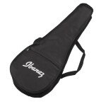 Ibanez UICT10 Metallic Gray Sunburst