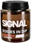 Starbaits Boilies in Dip Signal 150g 20mm (62734)