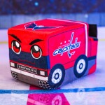 Plyšová rolba Washington Capitals
