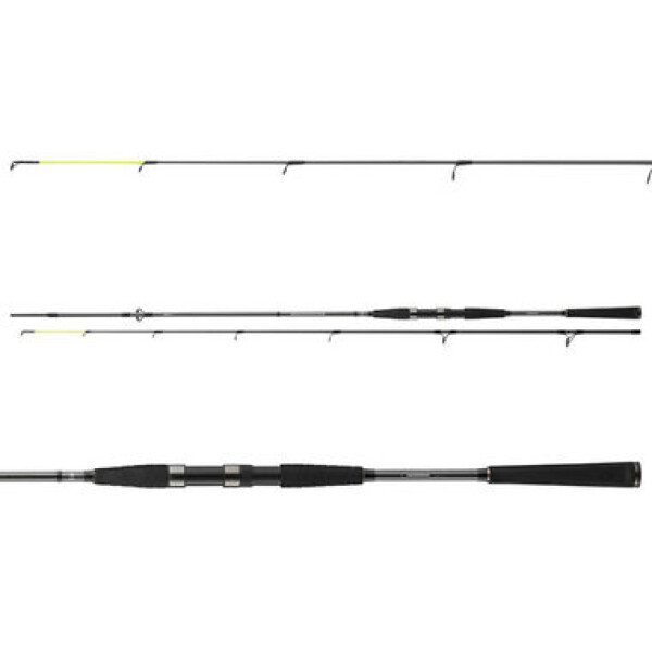 Daiwa Prut Seahunter X 2,7m 30-60g (11533-270)