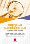 Interpretace Národní účetní rady Jana Skálová