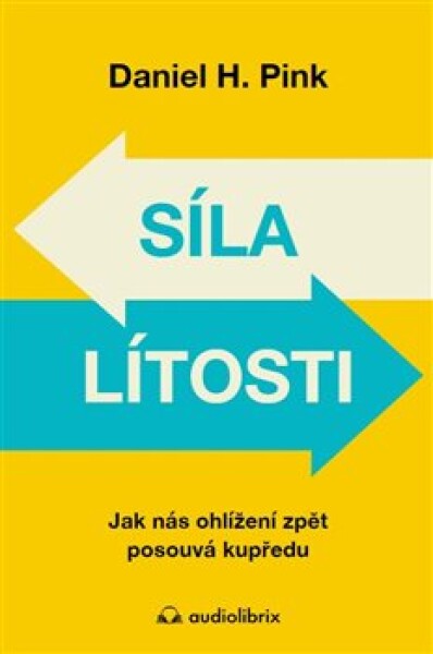 Síla lítosti