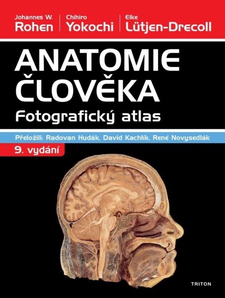 Anatomie člověka