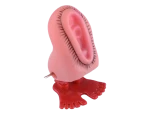Divja Skákací kundička
