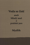 Voda se čistí aneb Mladý muž pražské jaro Miroslav Krůta
