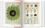 Garden Eden. Masterpieces of Botanical Illustration. 40th Anniversary Edition Hans Walter Lack