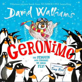 Geronimo - David Walliams