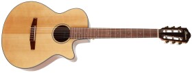 Ibanez AEG50N Natural
