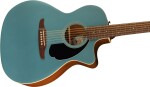 Fender Newporter Player WN TPL