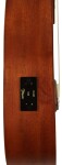 Takamine EGU-T1