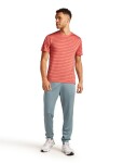 Pánské merino tričko s krátkým rukávem ICEBREAKER Mens 125 Cool-Lite Drayden SS Tee Stripe, Plume/Jasper/S velikost: XL