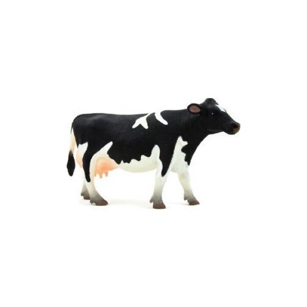 Kráva Holstein