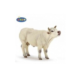 Kráva Charolais