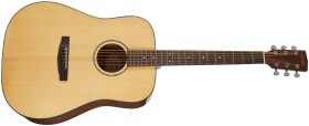 Cort Earth 60 NAT
