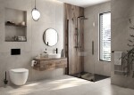 DEANTE - Arnika nero WC kartáč, nástěnný ADA_N711