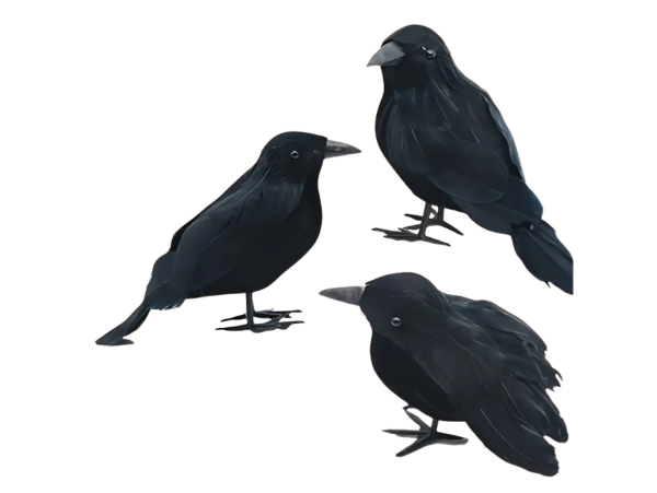 Dovoz Ptáček černý s peřím