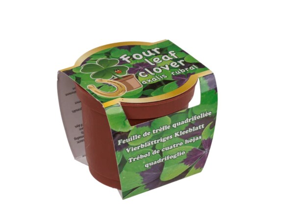 Ootb Čtyřlístek vypěstuj si..