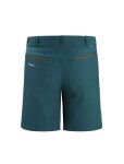 ICEBREAKER Mens Hike Shorts, Green Glory velikost: 30