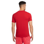 Tričko Nike Liverpool FC M HJ4268-687 pánské L (183 cm)