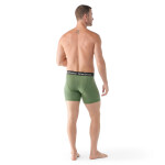 Pánské merino boxerky SMARTWOOL Men's Merino Boxer Brief Boxed, Fern Green velikost: XL