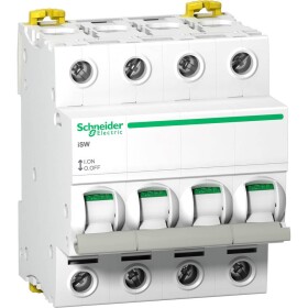 Odpínač 100 A 240 V Schneider Electric A9S65491