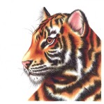 CHAMELEON, CS6604, Chameleon Color & Blending System, sada permanentních popisovačů č. 4, 13 ks